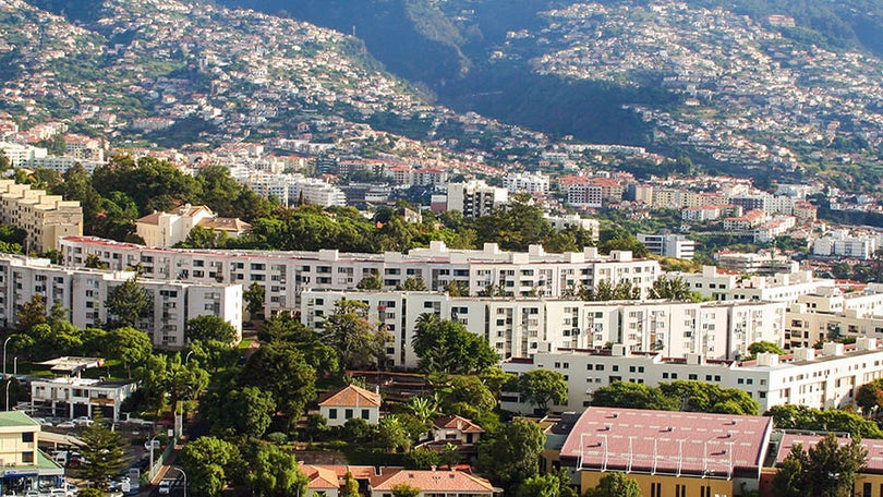 Imagem de Madeira aprova aumento do capital da IHM em 700 mil euros