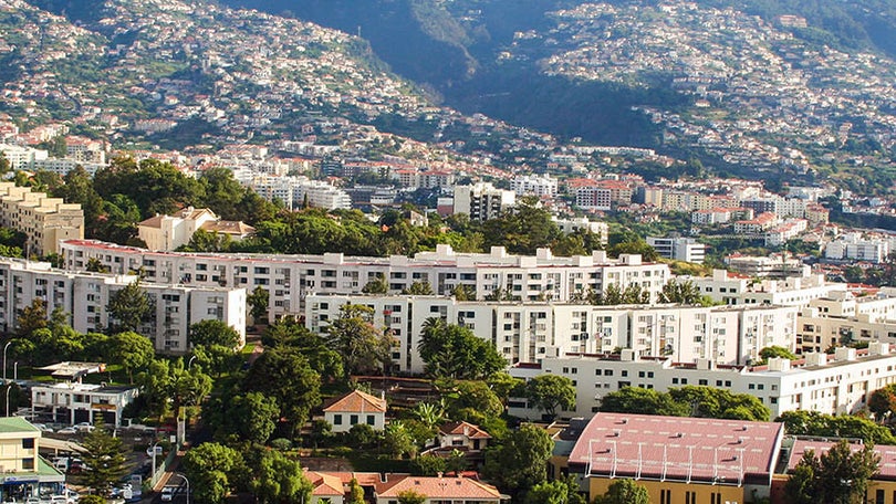 Madeira aprova aumento do capital da IHM em 700 mil euros