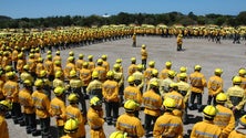 Imagem de Aberto concurso para 60 sapadores bombeiros florestais
