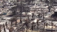 Imagem de Já foram localizados com vida alguns lusodescendentes (vídeo)