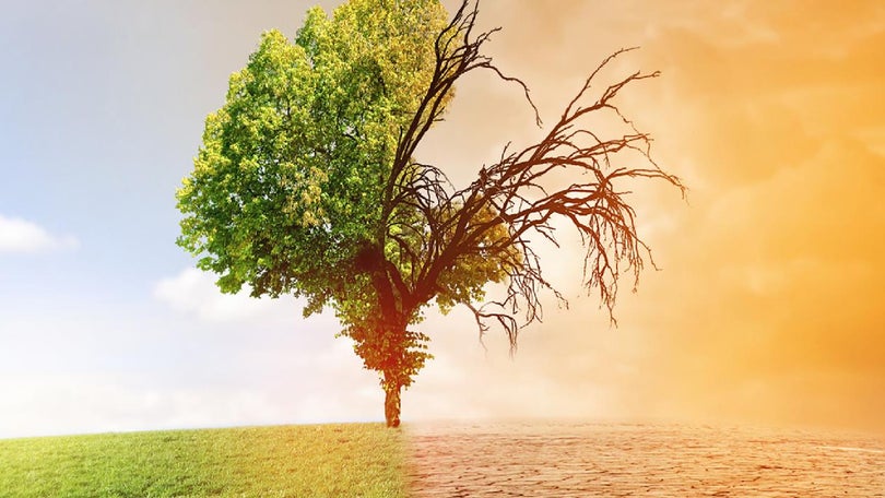 Imagem de Natureza vai fazer-nos passar por “crises muito violentas”, avisa especialista