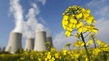 Imagem de Investigador defende que energia nuclear é essencial para sair de mundo asfixiado pelo CO2