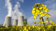 Imagem de Investigador defende que energia nuclear é essencial para sair de mundo asfixiado pelo CO2