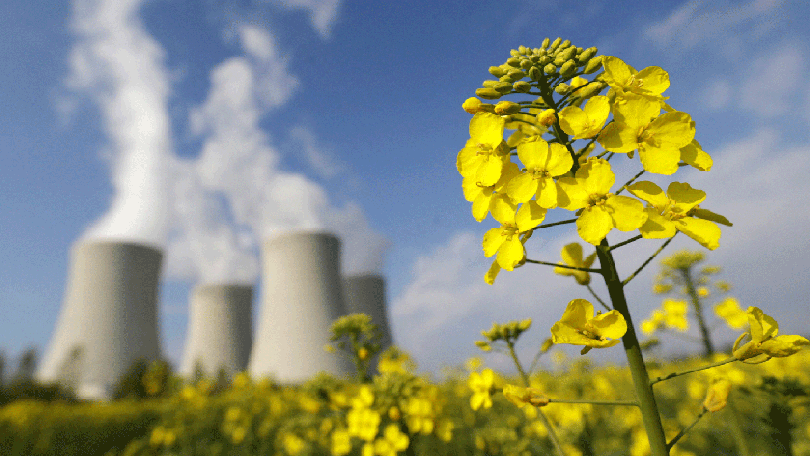 Imagem de Investigador defende que energia nuclear é essencial para sair de mundo asfixiado pelo CO2