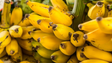 Madeira aumenta produção de banana em 14,7%
