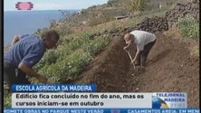 Imagem de Escola agrícola da Madeira estará a funcionar em outubro (Vídeo)