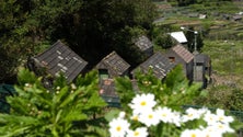 Imagem de Chão da Ribeira na pré-final do concurso das 7 Maravilhas de Portugal