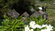 Imagem de Chão da Ribeira na pré-final do concurso das 7 Maravilhas de Portugal
