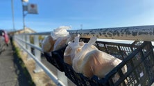 Imagem de Padaria oferece pão a quem precisa (vídeo)