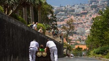 Carreiros do Monte suspendem descidas