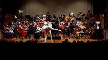 Imagem de Concerto de Carnaval da Orquestra surpreende público