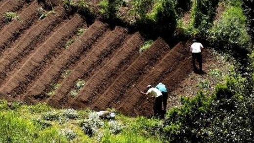 Governo subsidia em 3,9 milhões água de rega