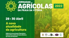 Imagem de Governo anuncia estudo sobre novas culturas agrícolas (Vídeo)
