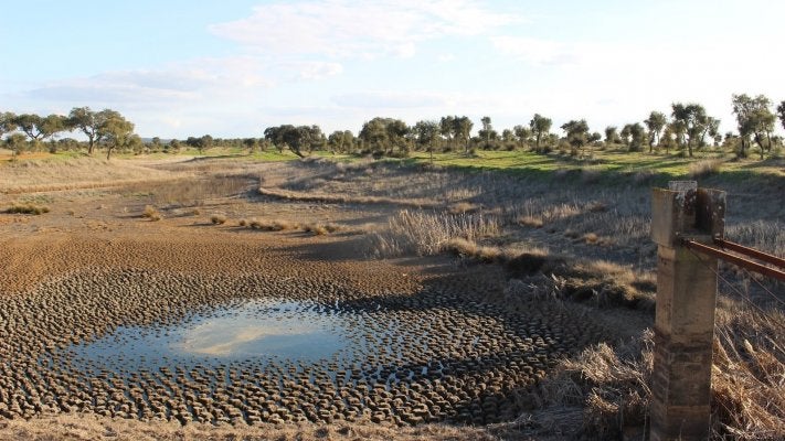 Portugal é dos países com maior vulnerabilidade às alterações climática