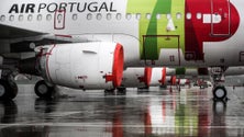 Imagem de Cães descobrem droga num avião da TAP (vídeo)