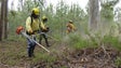 Imagem de Procura pelo serviço de limpeza de terrenos dispara