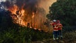 Imagem de Incêndios: Mais de 30 concelhos de sete distritos em perigo máximo