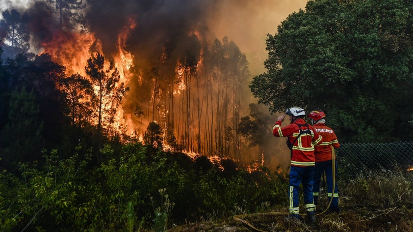 Incêndios: Mais de 30 concelhos de sete distritos em perigo máximo