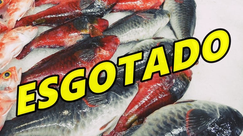 Imagem de Veja proibida