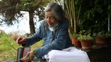 Imagem de Lourdes Castro condecorada pela Cultura (vídeo)