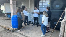 Imagem de Sara Cerdas diz que os apoios europeus tiveram um efeito positivo na economia local (vídeo)