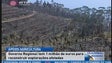 Imagem de Governo dispõe de 1 milhão de euros para recuperar agricultura (Vídeo)