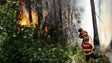 Imagem de Incêndios: Publicada resolução que exige “cumprimento de promessa” à Madeira