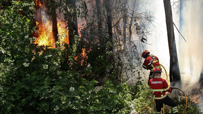 Incêndios: Publicada resolução que exige “cumprimento de promessa” à Madeira