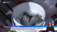 Imagem de Biólogo alerta para os impactos negativos do acidente nas jaulas de aquacultura (vídeo)