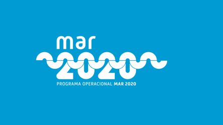 Imagem de Mar 2020 atinge 68% de execução até julho