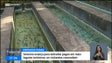 Imagem de Turistas concordam com taxa para visitar alguns lugares na Região (vídeo)