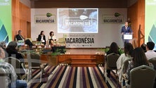 Imagem de Alterações climáticas preocupam governos da Macaronésia
