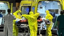 Imagem de Seis mortes e mais 1.020 casos