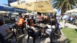 Imagem de Pitanga foi «protagonista» na mostra gastronómica de Santa Cruz (vídeo)