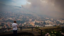 Governo da Madeira pede “lei de exceção” para poder ajudar todas as famílias atingidas pelos incêndios