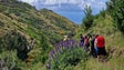 Imagem de Associação do Caminho Real e Decathlon em EcoCaminhada (Galeria de fotos)