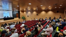 Imagem de Número de casos de indisciplina nas escolas da Madeira tem vindo a diminuir (áudio)