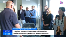 Técnicos madeirenses de pecuária nos Açores (vídeo)