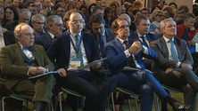 Imagem de Conferências do Atlântico evoca Churchill e  aliança luso-britânica (vídeo)