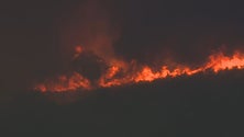 Imagem de Portugal regista mais de dez mil incêndios florestais (vídeo)