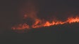 Portugal regista mais de dez mil incêndios florestais (vídeo)