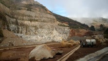 Imagem de Vão ser plantadas cerca de 30 mil árvores nos Canhas