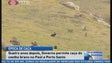 Imagem de Governo permite caça ao coelho bravo (Vídeo)