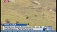 Governo permite caça ao coelho bravo (Vídeo)