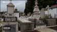 Imagem de Madeirenses aproveitaram o feriado para uma visita os cemitérios (vídeo)