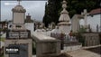 Madeirenses aproveitaram o feriado para uma visita os cemitérios (vídeo)