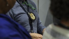 Imagem de Greve do SEF com adesão de 100%