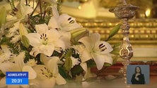 Milhares de Flores para Santo Cristo (Vídeo)