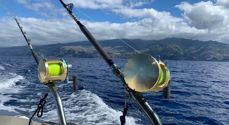 Big Game Fishing regressa à Calheta (áudio)