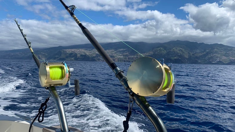 Big Game Fishing regressa à Calheta (áudio)